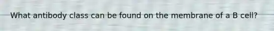 What antibody class can be found on the membrane of a B cell?