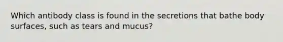 Which antibody class is found in the secretions that bathe body surfaces, such as tears and mucus?