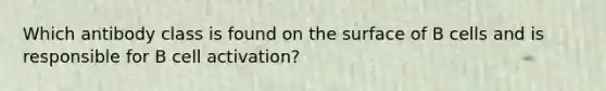 Which antibody class is found on the surface of B cells and is responsible for B cell activation?