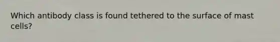 Which antibody class is found tethered to the surface of mast cells?