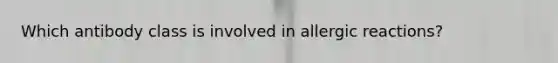 Which antibody class is involved in allergic reactions?