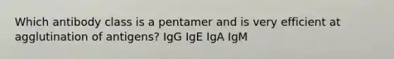 Which antibody class is a pentamer and is very efficient at agglutination of antigens? IgG IgE IgA IgM