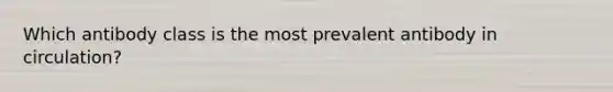 Which antibody class is the most prevalent antibody in circulation?