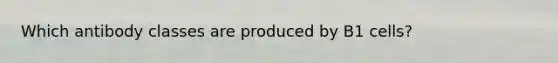 Which antibody classes are produced by B1 cells?