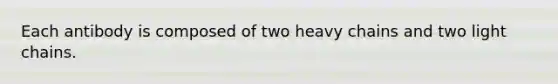 Each antibody is composed of two heavy chains and two light chains.