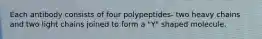 Each antibody consists of four polypeptides- two heavy chains and two light chains joined to form a "Y" shaped molecule.