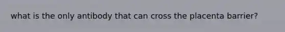 what is the only antibody that can cross the placenta barrier?
