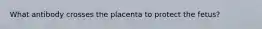What antibody crosses the placenta to protect the fetus?