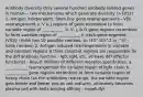 Antibody diversity Only several hundred antibody related genes in human--- two mechanisms which generate diversity (>1012) 1. Antigen independent: Stem line gene rearrangements - VDJ rearrangement a. V & J regions of gene recombine to form variable region of ___________ b. V, J, & D gene regions recombine to form variable region of ___________ c. each gene segment (V(D)J i think has 10 possible combos, so (10^10)^2 or ^3? - hella combos) 2. Antigen induced rearrangements in variable and constant regions (I think constant regions are responsible for the diff antibody function - IgD, IgM, etc. all have diff effector functions) - Result: Millions of different receptor specificities. a. ___________ rearrangement for variable region of light chain b. ___________ gene regions recombine to form variable region of heavy chain (as the antibodies rearrange, the variable region gets better and better and as cell matures, ultimately becomes plasma cell with hella binding affinity - hopefully)