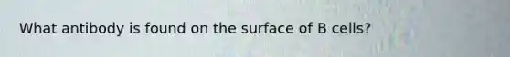 What antibody is found on the surface of B cells?