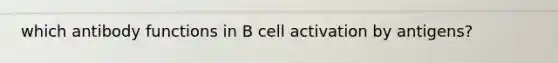 which antibody functions in B cell activation by antigens?