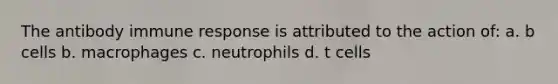 The antibody <a href='https://www.questionai.com/knowledge/krhPdp6cmU-immune-response' class='anchor-knowledge'>immune response</a> is attributed to the action of: a. b cells b. macrophages c. neutrophils d. t cells