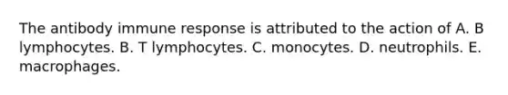 The antibody immune response is attributed to the action of A. B lymphocytes. B. T lymphocytes. C. monocytes. D. neutrophils. E. macrophages.