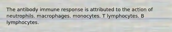 The antibody immune response is attributed to the action of neutrophils. macrophages. monocytes. T lymphocytes. B lymphocytes.