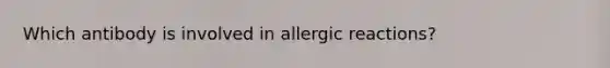 Which antibody is involved in allergic reactions?