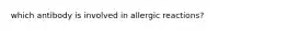 which antibody is involved in allergic reactions?