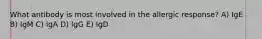 What antibody is most involved in the allergic response? A) IgE B) IgM C) IgA D) IgG E) IgD