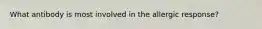 What antibody is most involved in the allergic response?