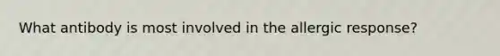 What antibody is most involved in the allergic response?