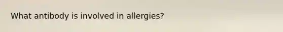 What antibody is involved in allergies?