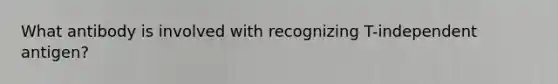 What antibody is involved with recognizing T-independent antigen?