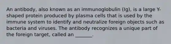 An antibody, also known as an immunoglobulin (Ig), is a large Y-shaped protein produced by plasma cells that is used by the immune system to identify and neutralize foreign objects such as bacteria and viruses. The antibody recognizes a unique part of the foreign target, called an _______.