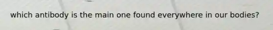 which antibody is the main one found everywhere in our bodies?