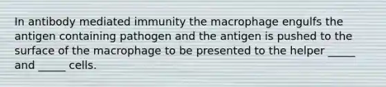 In antibody mediated immunity the macrophage engulfs the antigen containing pathogen and the antigen is pushed to the surface of the macrophage to be presented to the helper _____ and _____ cells.