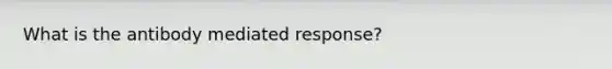 What is the antibody mediated response?