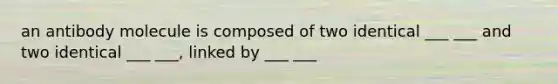an antibody molecule is composed of two identical ___ ___ and two identical ___ ___, linked by ___ ___