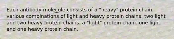 Each antibody molecule consists of a "heavy" protein chain. various combinations of light and heavy protein chains. two light and two heavy protein chains. a "light" protein chain. one light and one heavy protein chain.