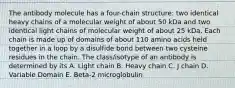 The antibody molecule has a four-chain structure: two identical heavy chains of a molecular weight of about 50 kDa and two identical light chains of molecular weight of about 25 kDa. Each chain is made up of domains of about 110 amino acids held together in a loop by a disulfide bond between two cysteine residues in the chain. The class/isotype of an antibody is determined by its A. Light chain B. Heavy chain C. J chain D. Variable Domain E. Beta-2 microglobulin