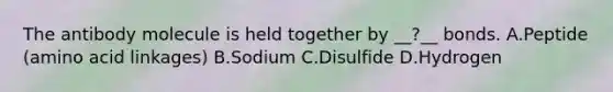 The antibody molecule is held together by __?__ bonds. A.Peptide (amino acid linkages) B.Sodium C.Disulfide D.Hydrogen