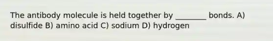 The antibody molecule is held together by ________ bonds. A) disulfide B) amino acid C) sodium D) hydrogen