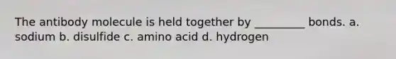 The antibody molecule is held together by _________ bonds. a. sodium b. disulfide c. amino acid d. hydrogen