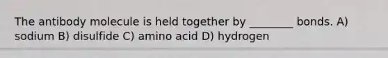 The antibody molecule is held together by ________ bonds. A) sodium B) disulfide C) amino acid D) hydrogen