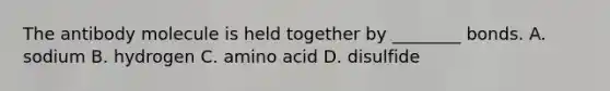 The antibody molecule is held together by ________ bonds. A. sodium B. hydrogen C. amino acid D. disulfide