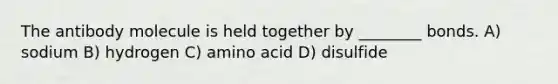 The antibody molecule is held together by ________ bonds. A) sodium B) hydrogen C) amino acid D) disulfide