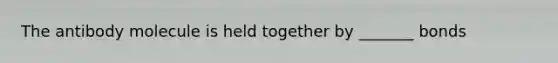 The antibody molecule is held together by _______ bonds