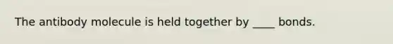 The antibody molecule is held together by ____ bonds.