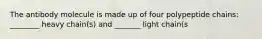 The antibody molecule is made up of four polypeptide chains: ________ heavy chain(s) and _______ light chain(s