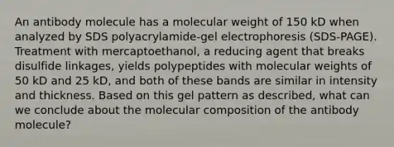 An antibody molecule has a molecular weight of 150 kD when analyzed by SDS polyacrylamide-gel electrophoresis (SDS-PAGE). Treatment with mercaptoethanol, a reducing agent that breaks disulfide linkages, yields polypeptides with molecular weights of 50 kD and 25 kD, and both of these bands are similar in intensity and thickness. Based on this gel pattern as described, what can we conclude about the molecular composition of the antibody molecule?