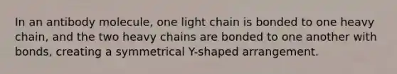 In an antibody molecule, one light chain is bonded to one heavy chain, and the two heavy chains are bonded to one another with bonds, creating a symmetrical Y-shaped arrangement.