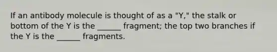 If an antibody molecule is thought of as a "Y," the stalk or bottom of the Y is the ______ fragment; the top two branches if the Y is the ______ fragments.