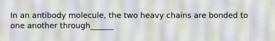 In an antibody molecule, the two heavy chains are bonded to one another through______