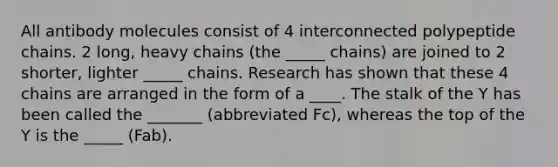 All antibody molecules consist of 4 interconnected polypeptide chains. 2 long, heavy chains (the _____ chains) are joined to 2 shorter, lighter _____ chains. Research has shown that these 4 chains are arranged in the form of a ____. The stalk of the Y has been called the _______ (abbreviated Fc), whereas the top of the Y is the _____ (Fab).