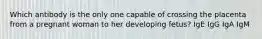 Which antibody is the only one capable of crossing the placenta from a pregnant woman to her developing fetus? IgE IgG IgA IgM