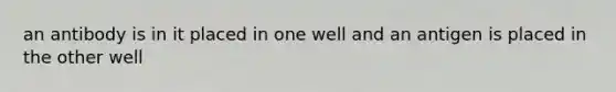 an antibody is in it placed in one well and an antigen is placed in the other well