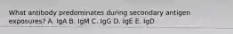 What antibody predominates during secondary antigen exposures? A. IgA B. IgM C. IgG D. IgE E. IgD