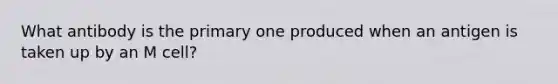 What antibody is the primary one produced when an antigen is taken up by an M cell?